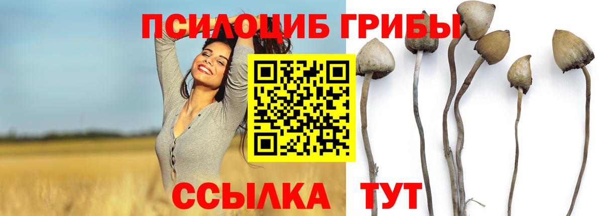 Галлюциногенные грибы мицелий  купить наркотики цена  Орск  Псилоцибиновые грибы Psilocybe  Вход с VPN 